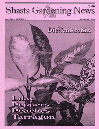 Sample Newsletter Cover