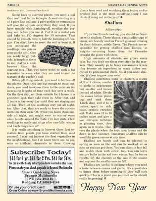 Sample Newsletter