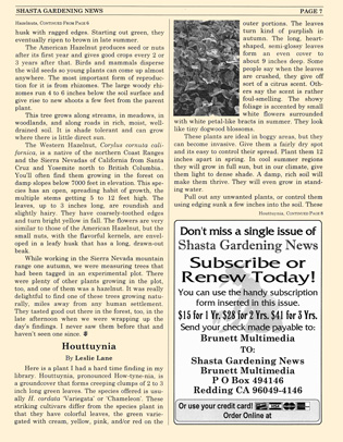 Sample Newsletter